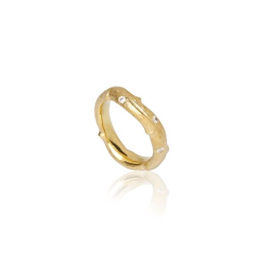 NEW NORDIC-Bøg-Lab NEW NORDIC-Bøg-Lab