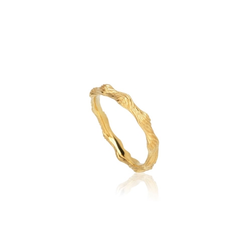 NEW NORDIC-Eg NEW NORDIC-Eg