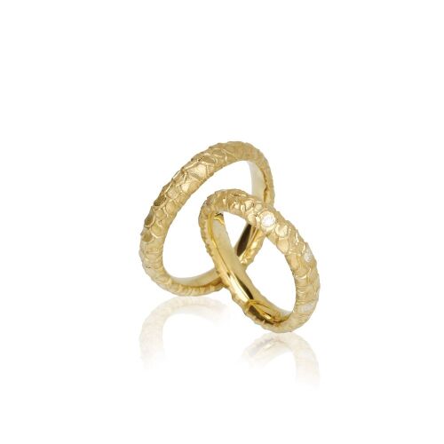 NEW NORDIC-FYR lab NEW NORDIC-FYR lab