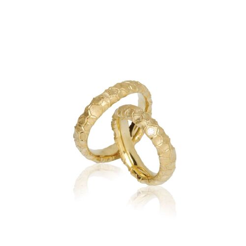 NEW NORDIC-FYR lab NEW NORDIC-FYR lab