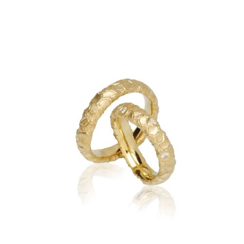 NEW NORDIC-FYR lab NEW NORDIC-FYR lab