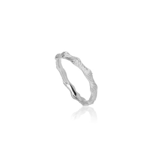 NEW NORDIC-Eg NEW NORDIC-Eg