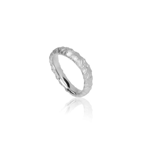 NEW NORDIC Fyr NEW NORDIC Fyr