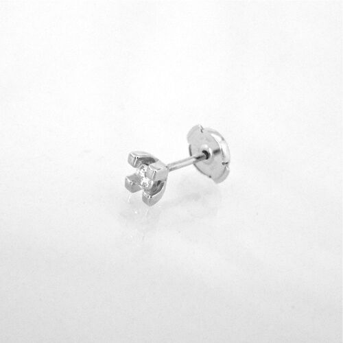 ABSOLUT-Diamondz ABSOLUT-Diamondz