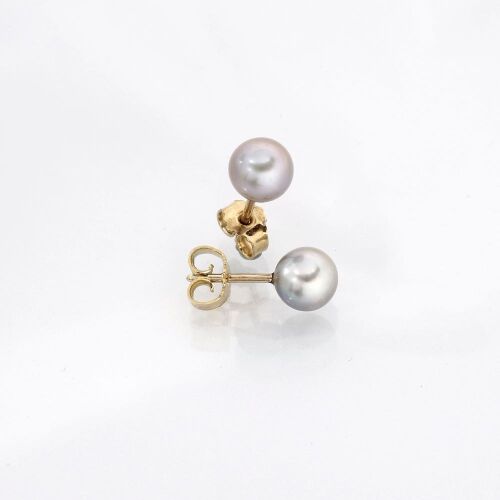 JEWELZ/BRILLANZ JEWELZ/BRILLANZ