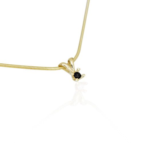 CELEBRATE-color-lab. CELEBRATE-color-lab.