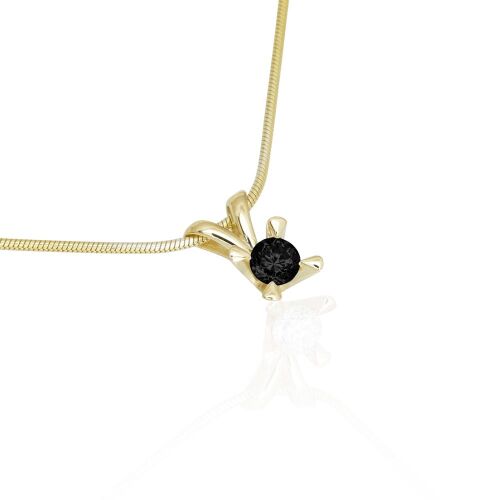 CELEBRATE-color-lab. CELEBRATE-color-lab.