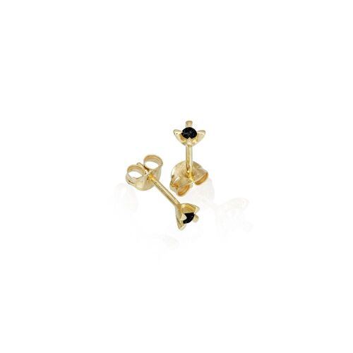 CELEBRATE-lab. CELEBRATE-lab.