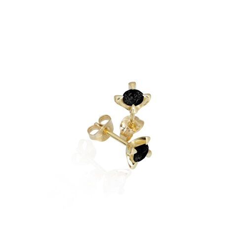 CELEBRATE-lab. CELEBRATE-lab.