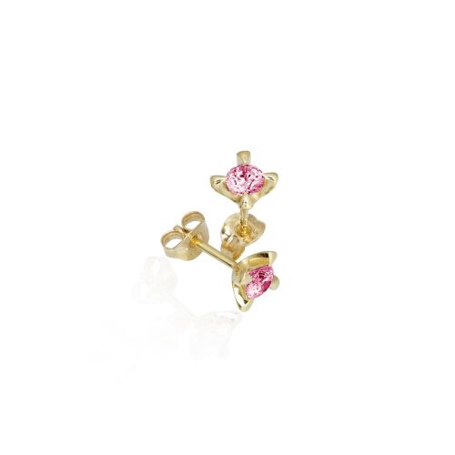 CELEBRATE-lab. CELEBRATE-lab.