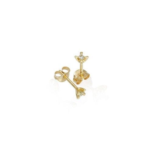 CELEBRATE-lab. CELEBRATE-lab.