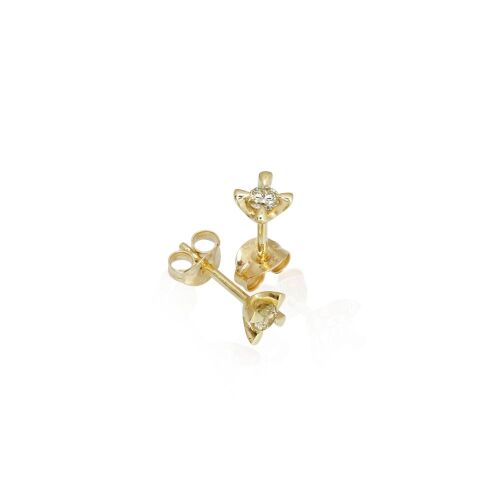 CELEBRATE-lab. CELEBRATE-lab.