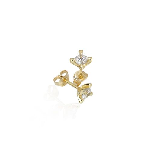 CELEBRATE-lab. CELEBRATE-lab.