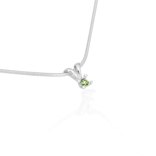 CELEBRATE-color-lab. CELEBRATE-color-lab.