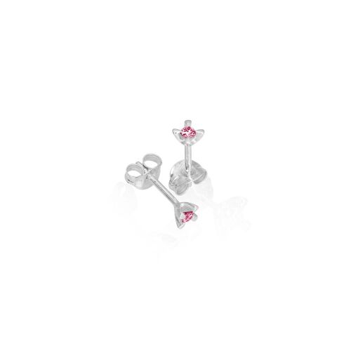 CELEBRATE-lab. CELEBRATE-lab.