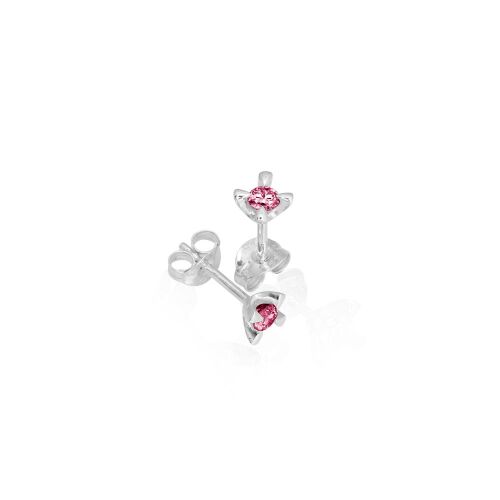 CELEBRATE-lab. CELEBRATE-lab.