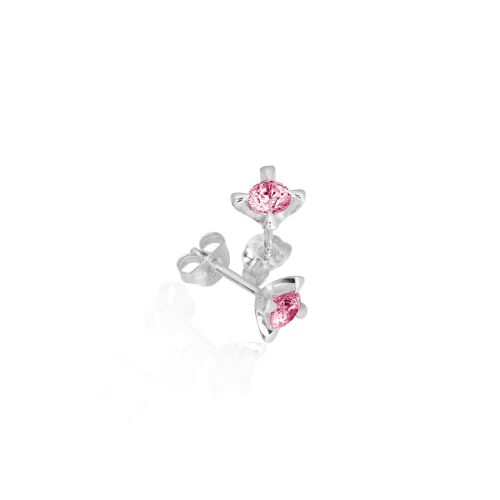 CELEBRATE-lab. CELEBRATE-lab.