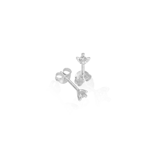 CELEBRATE-lab. CELEBRATE-lab.