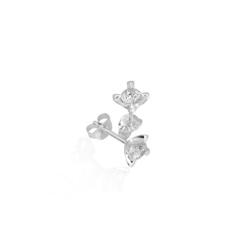 CELEBRATE-lab. CELEBRATE-lab.