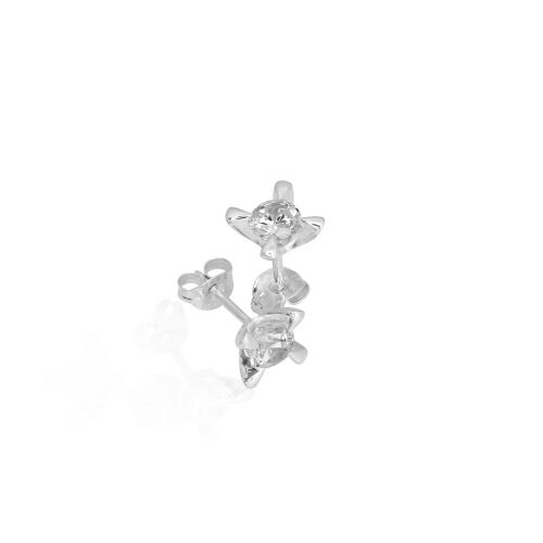 CELEBRATE-lab. CELEBRATE-lab.