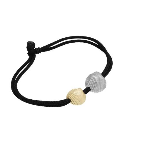 Coast Seashell-mix Coast Seashell-mix