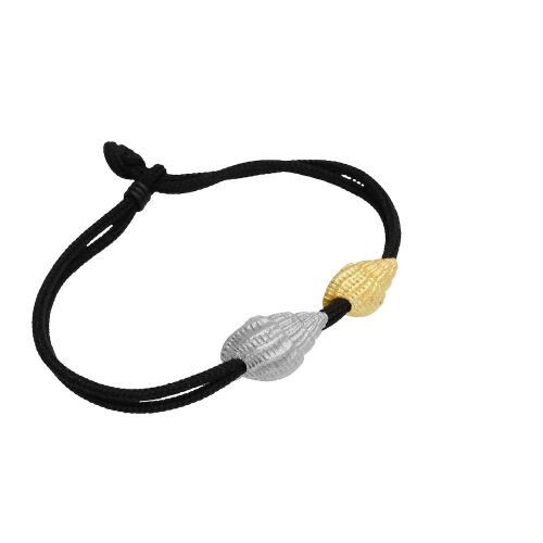 Coast Conch-mix Coast Conch-mix