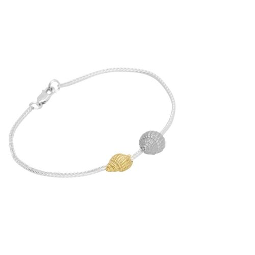 Coast Conch-mix Coast Conch-mix