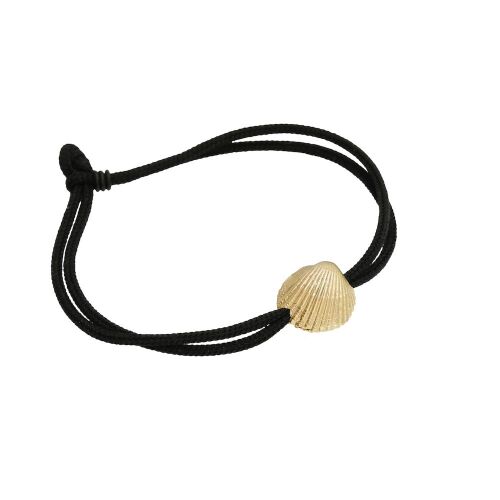 Coast Seashell Large Coast Seashell Large