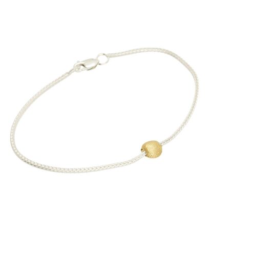 Coast Seashell Small Coast Seashell Small