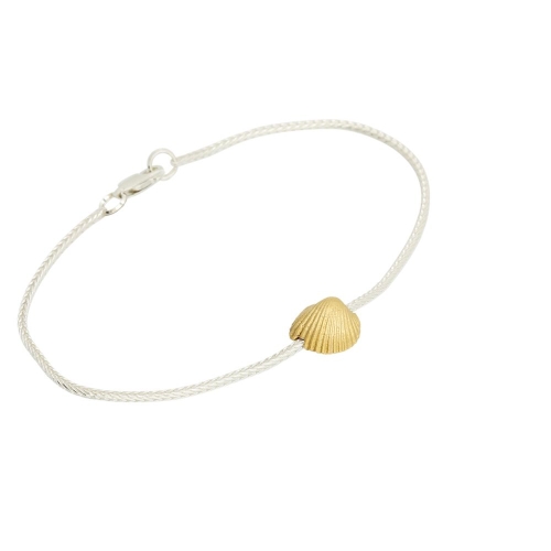 Coast Seashell-medium Coast Seashell-medium