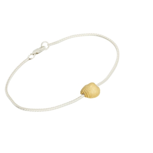 Coast Seashell-medium Coast Seashell-medium