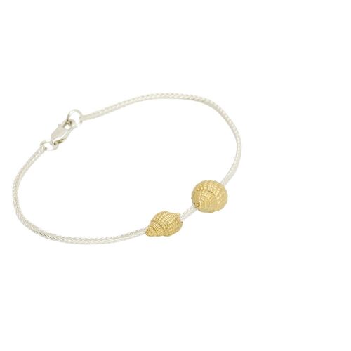 Coast Conch-mix Coast Conch-mix