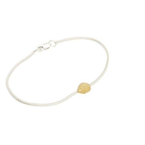 Coast Conch Small Coast Conch Small