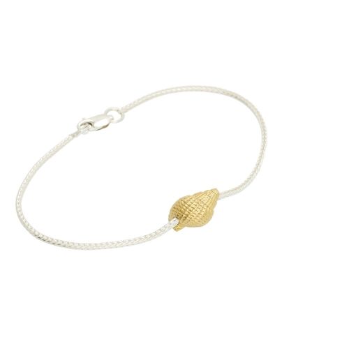 Coast Conch-medium Coast Conch-medium