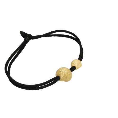 Coast Snail-mix Coast Snail-mix