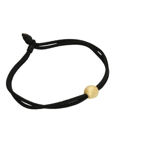 Coast Snail Medium Coast Snail Medium