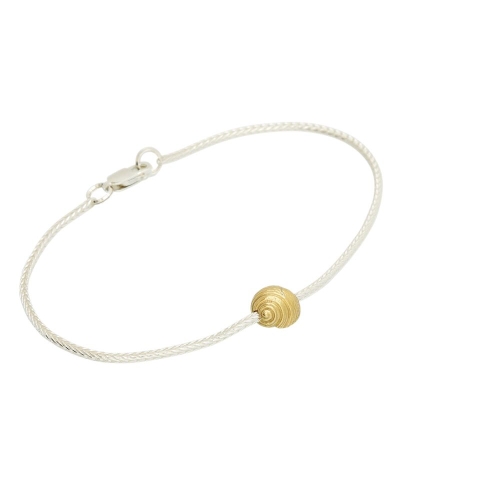 Coast Snail-medium Coast Snail-medium