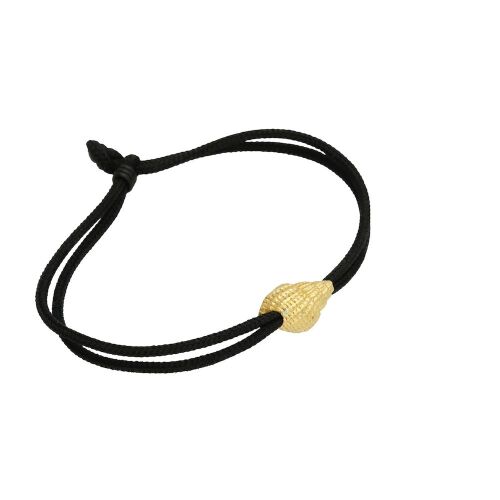 Coast Conch Medium Coast Conch Medium