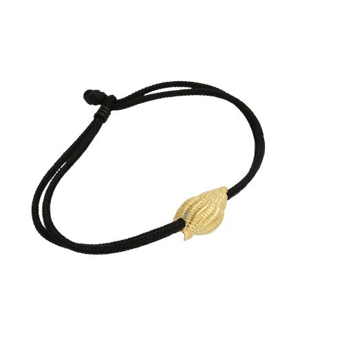 Coast Conch Large Coast Conch Large