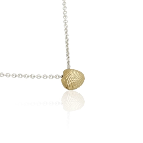 Coast Seashell-small Coast Seashell-small
