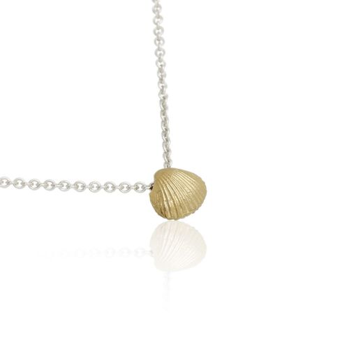 Coast Seashell-small Coast Seashell-small