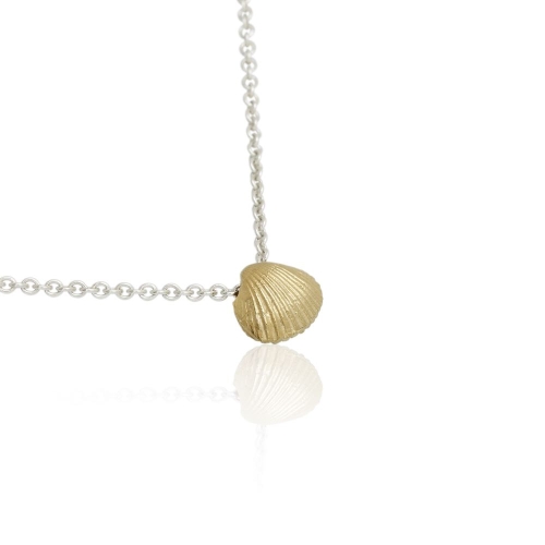 Coast Seashell-small Coast Seashell-small