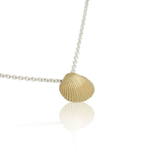 Coast Seashell-large Coast Seashell-large