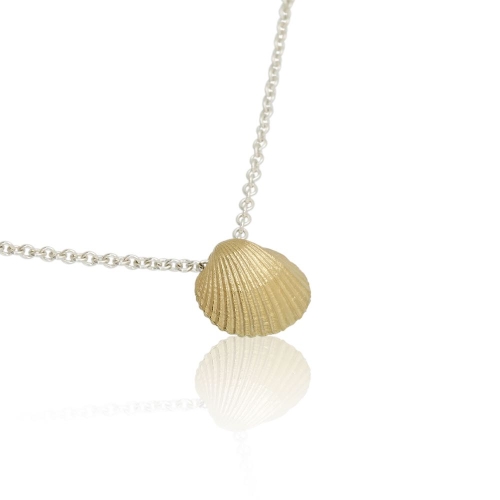 Coast Seashell-large Coast Seashell-large