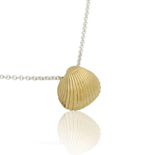 Coast Seashell-XXL Coast Seashell-XXL