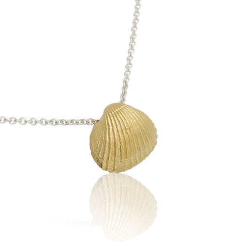Coast Seashell-XXL Coast Seashell-XXL