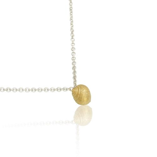 Coast Snail Medium Coast Snail Medium