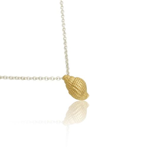 Coast Conch Medium Coast Conch Medium