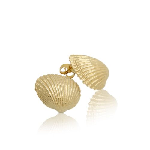 Coast Seashell Large Coast Seashell Large