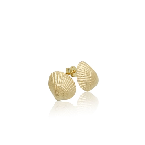 Coast Seashell Medium Coast Seashell Medium